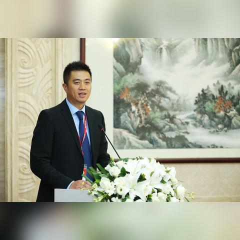 全球汽配行业大揭秘，排名背后的产业格局与趋势展望