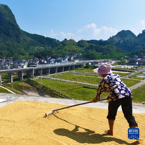 贵广高铁旅游攻略，飞驰中的美景尽收眼底