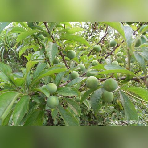 揭秘农村市场热销秘密，十大畅销商品榜单排名揭晓！