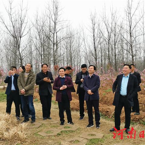 光山夏季探索之旅，魅力无限的夏日旅游攻略