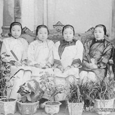临潼公交新动态，革新出行方式，城市畅行无阻