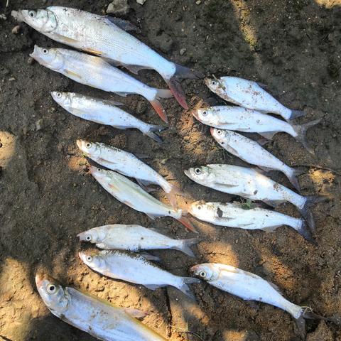今日涨水新闻动态，关注水情变化，确保安全与发展，最新消息全掌握