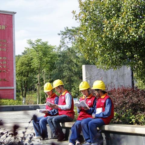 电网公司排名揭晓，深度解读中国电力行业领军企业名单