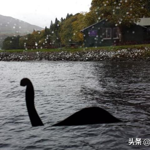 揭秘全球真实水怪排名前十，探寻神秘水生生物的奥秘