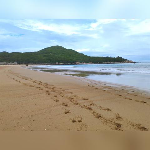 南澳风航出海全攻略，畅游海洋之旅的最新指南
