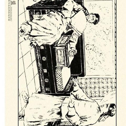 小白菜奇案揭秘，深度探索背后的真相