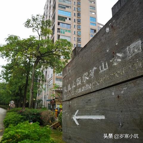 凤岗疫情最新消息，今日动态报道速递