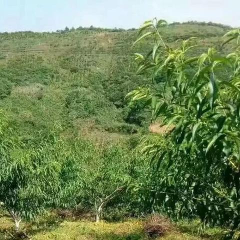 怀化沅陵县探秘，旅游攻略全掌握