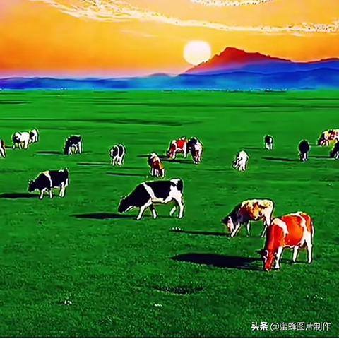 揭秘北京草坪奥秘，带你探索绿色世界——百度搜索带你一探究竟