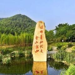 浙江绿化公司排名揭秘，探寻行业领军者