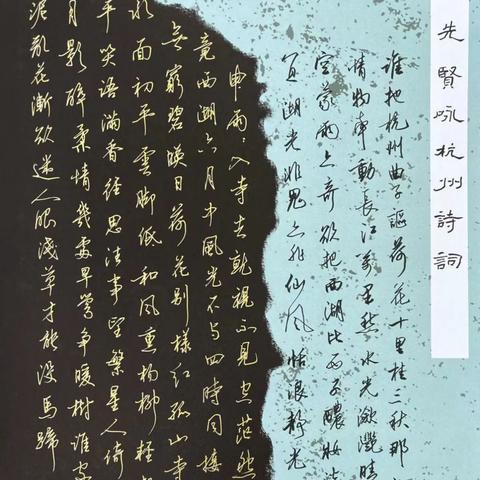 宁波亚运巴士最新动态，停运真相揭秘