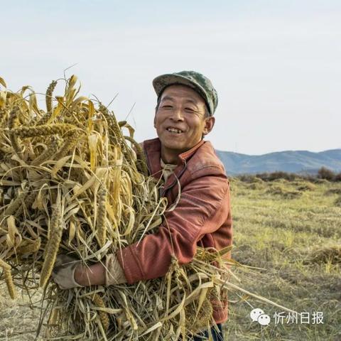 今日头条聚焦山西忻州，最新新闻综述报道来袭