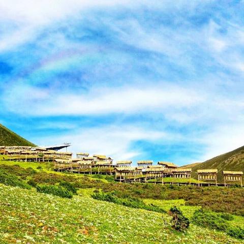 康定旅游攻略，携宠畅游胜地，尽享自然美景！
