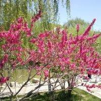 微笑朝阳新闻传递正能量，温暖心灵瞬间
