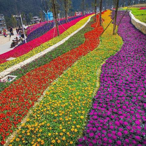 芬芳浴旅游全攻略，探寻美丽与宁静的梦幻之旅