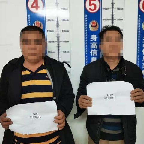 乌鸟之情 第10页
