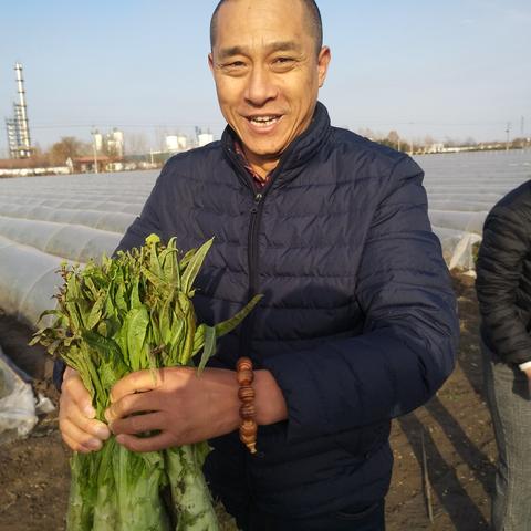 临淄县土桥镇繁荣新貌，小镇发展瞩目新闻头条