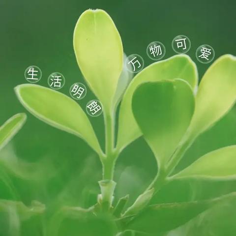励志短句，激发潜能，成就无限可能！