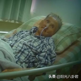 世界名曲中的男性音乐传奇，探寻经典之声的魅力