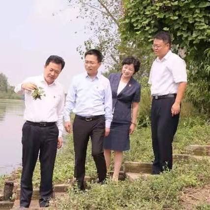 盐城大丰今日热点新闻速递