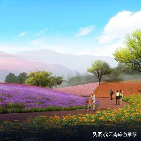 洱海周边旅游攻略，自然与文化交融的绝美之旅