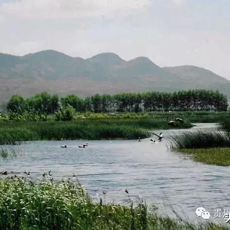 六月初贵州旅游攻略，揭秘神秘高原的最佳探索时机