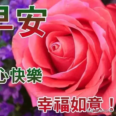 清晨励志感言，激发无限潜能，开启全新一天！