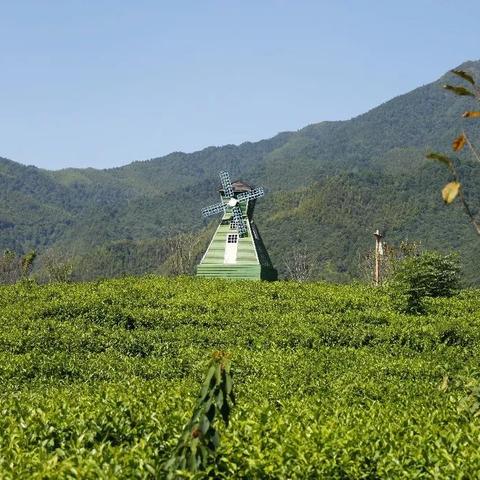 揭秘赣州，探寻赣南明珠县域魅力大放异彩