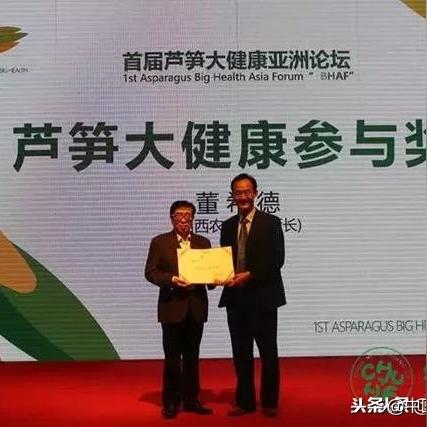 头条新闻跨界融合，探索多元领域融合之美