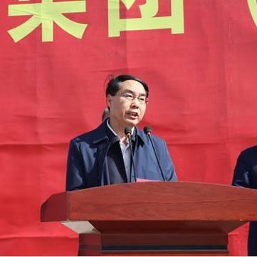 灵武今日黄金价格最新动态，市场走势与投资者关注焦点