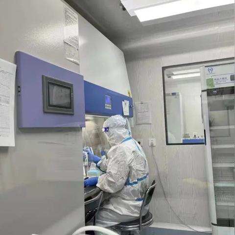 抚顺疫情最新动态更新，今日关键信息一网打尽