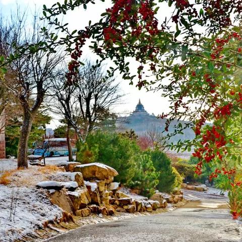 乳山冬季旅游攻略，探索冰雪童话，体验冬日魅力！