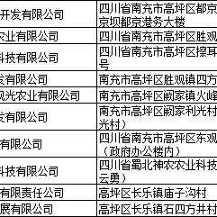 高坪区龙头镇，发展动态、社会变迁新闻头条瞩目