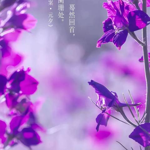 唯美励志语录，经典句子荟萃，激励你前行的力量源泉