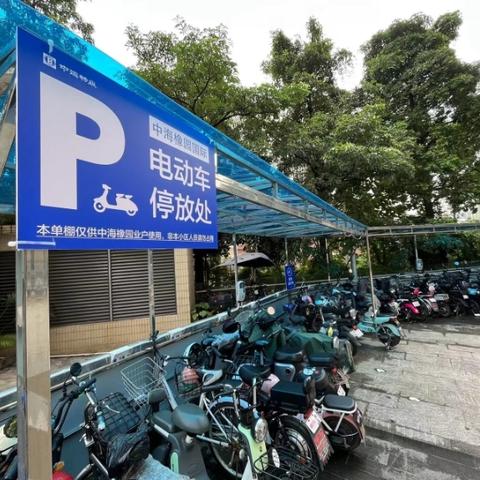 广东油价最新动态，今日消息概述