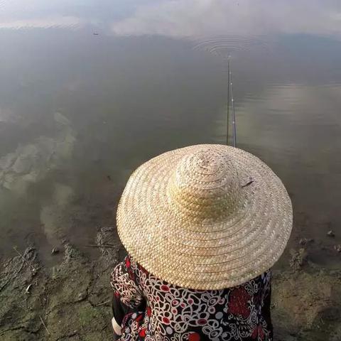 视频截流玩法揭秘，最新趋势引领行业潮流，掌握前沿资讯！