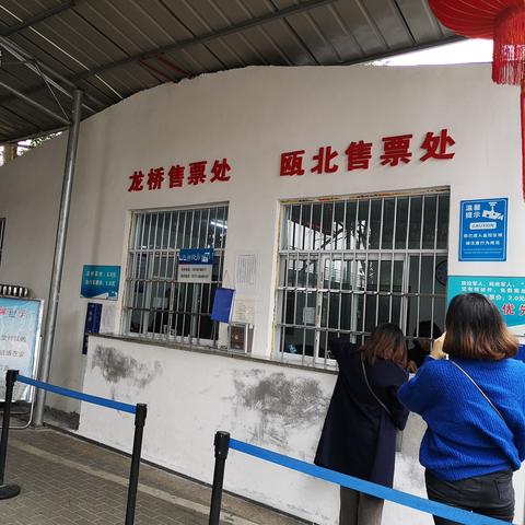 永嘉龙桥新闻头条，历史与现代交融的璀璨明珠，吸引眼球的标题！