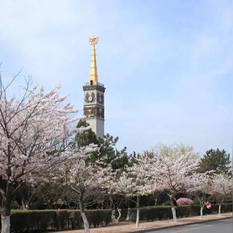 旅顺秋季游玩全攻略，畅游金色季节，尽享秋日风情