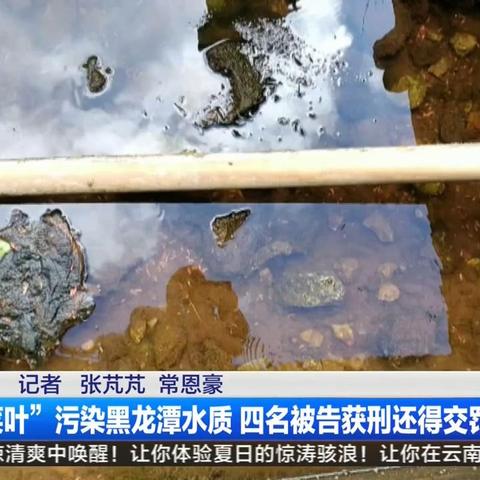 昆明环境污染最新动态，环境与健康引发关注焦点