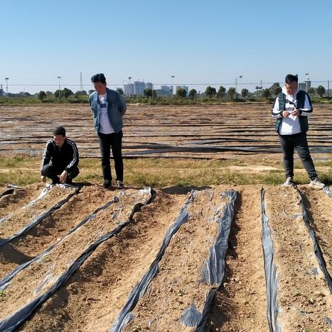 小金口九龙地区热点新闻速递
