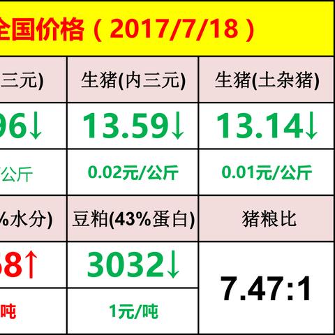 今日猪价动态更新，深度解析行业走势