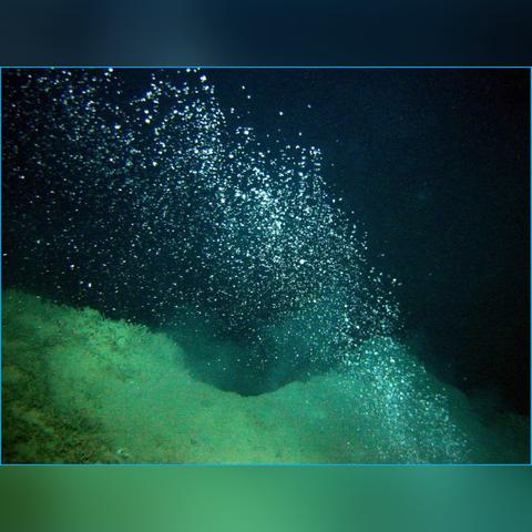 今日海底油价动态，最新消息表与市场深度解析