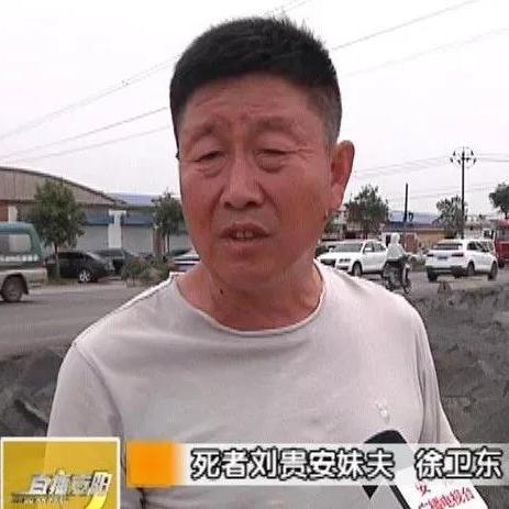 今日安林最新消息速递