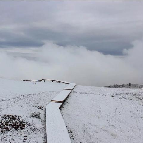 贵州雪景惊艳人间，最新消息美不胜收，宛如仙境已呈现