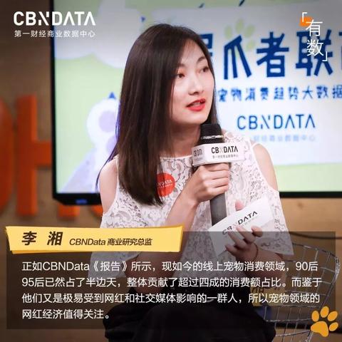 魔兽世界宠物强度大比拼，探寻最佳战斗伙伴，谁将成为你的最强盟友？
