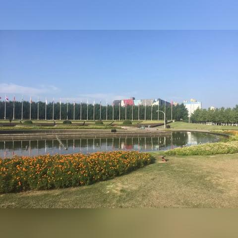 世界音乐魅力排名大揭秘，探索经典乐曲的无穷魅力