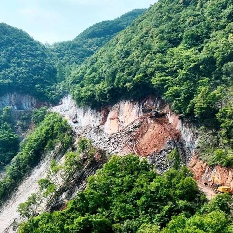 襄阳环境养护公司排名揭晓，行业翘楚独家曝光！