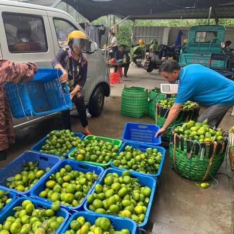 上海到海宁旅行攻略，一站式出行指南