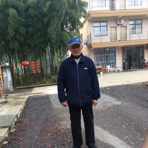 普陀最新动态与发展，新闻头条全掌握