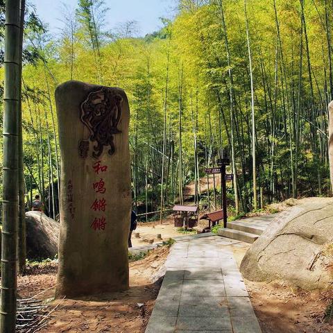 庐山暑期探险攻略，完美指南带你畅游探险胜地